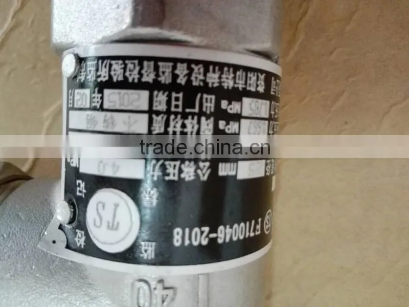 DN25 2.42MPa Safety Valve