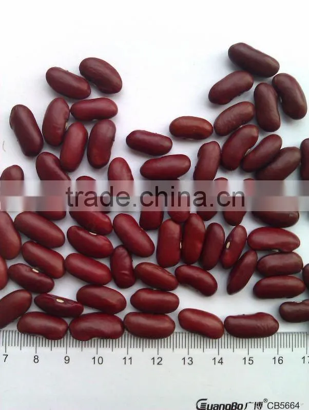 Red Kidney Bean( British type, Heilongjiang origin.2011 Crop,hps)