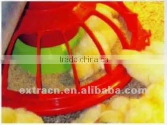 poultry feeding system