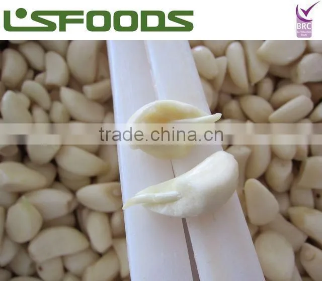 IQF frozen garlic paste garlic puree hot sale