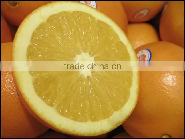 Best price navel orange.