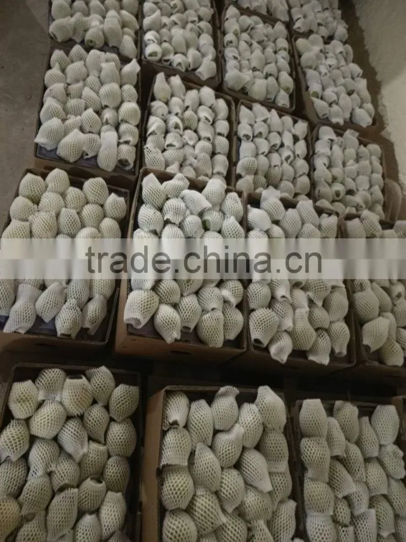 fresh fruit exporter from china fresh pear