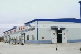 Wenzhou Loyal Amusement Co., Ltd. company overview - view 3