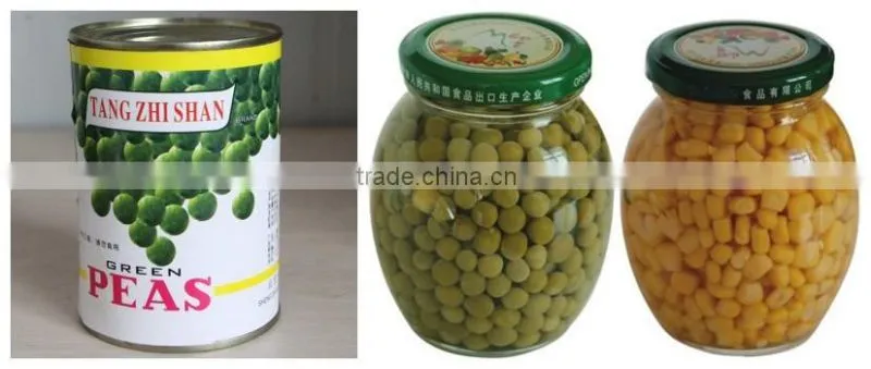 Good quality canned greenpeas