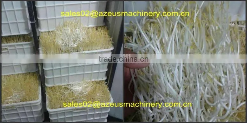 Automatic hydroponic barley grass fodder planting Machine for animal,livestock,cattle,sheep