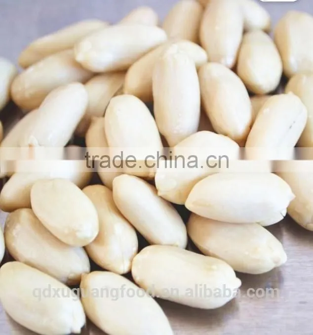 China Produce Authority Certification ISO9001 CE Blanched Peanut Kernels