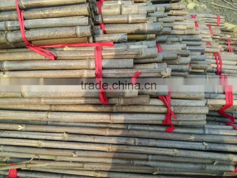natural/cheap/raw eco-friendly Bamboo Poles