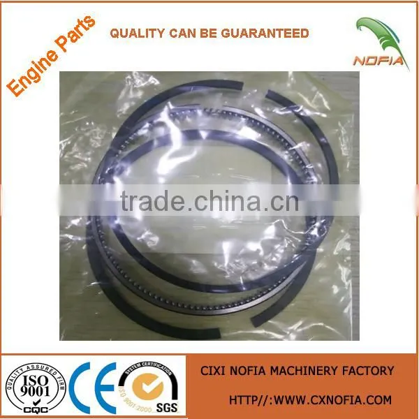 Assy Piston Ring 1G790-21092 Piston Ring Piston Ring 0.25 V2203 Piston Ring