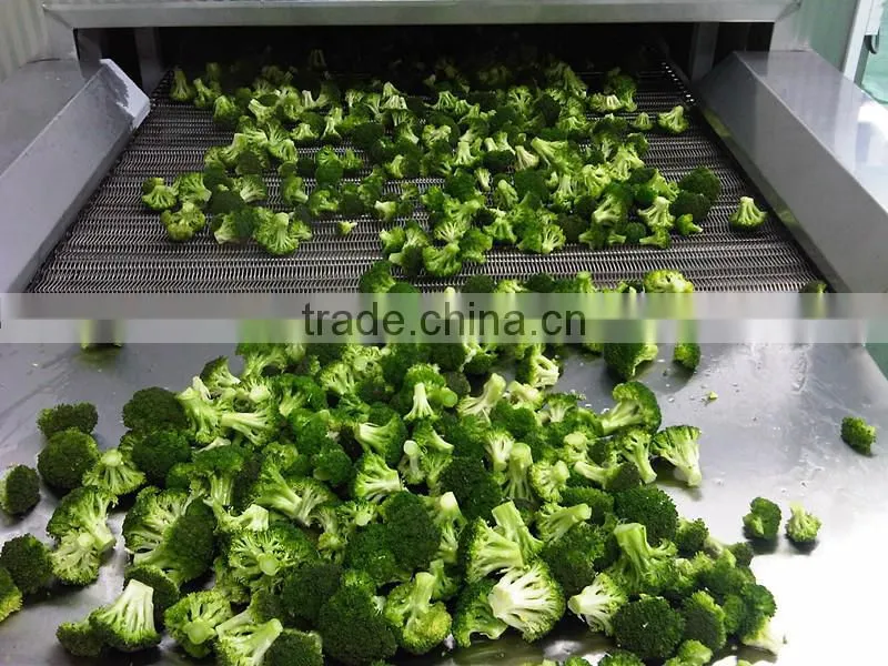Potato Stcks Cubes Dices Tunnel Freezer