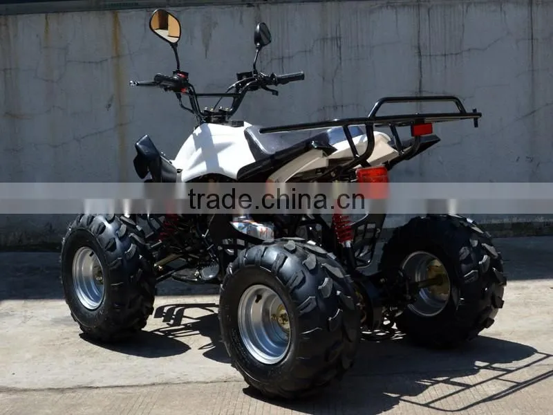 Mini Kids Gas Powered ATV 50cc