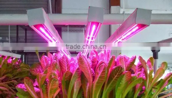 Horticultural lighting led chip grow light full spectrum uv ir led grow light 36w 54w