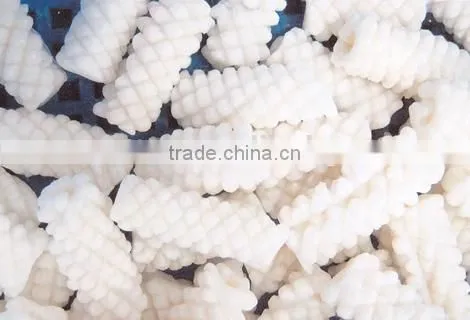 frozen ommastrephes bartrami carving squid