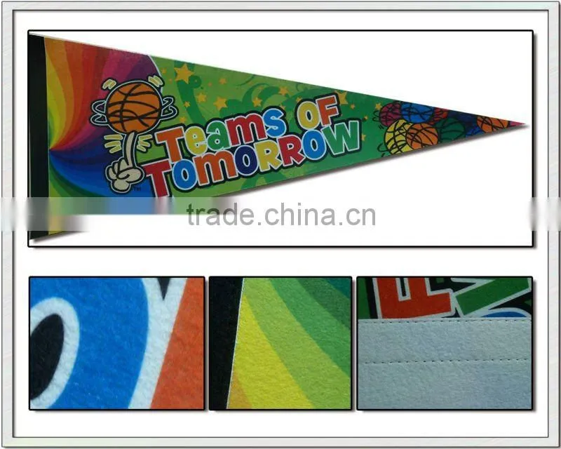 Argentina flag/