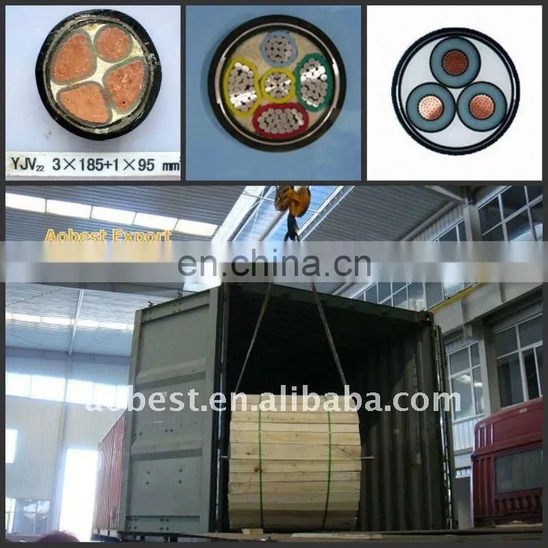 China leading supplier 0.6/1KV XLPE insulated power cable YJLV YJV