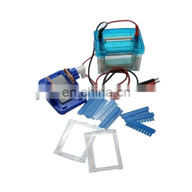 Cheaper Modualr vertical electrophoresis for Protein separate test