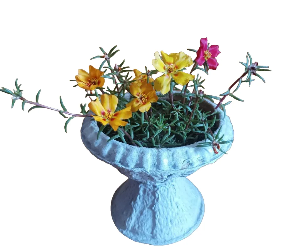 molded-pulp-flower-planter