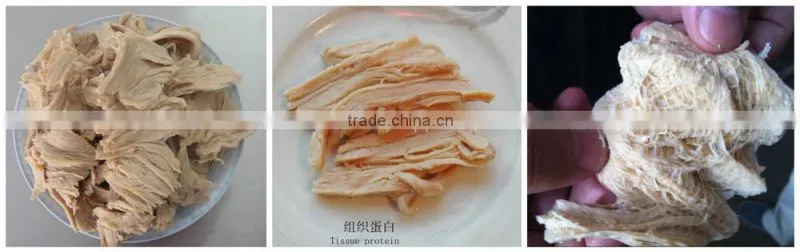 Full automatic textured soya protein TVP extruder machine