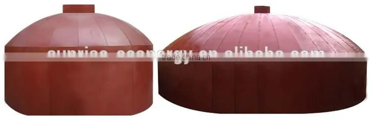 Biogas equipment's small biogas plant