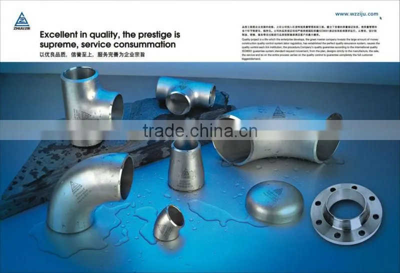 Made in China Stainless Steel Casting Pipe Fitting