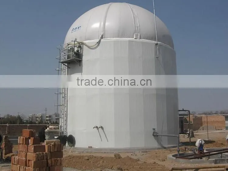 Mini Biogas Generator Plant For Sale