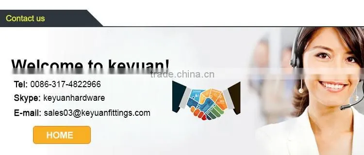 ANSI 316 Screwed Plug Fitting BSP Male Taper Thread Cast Technic