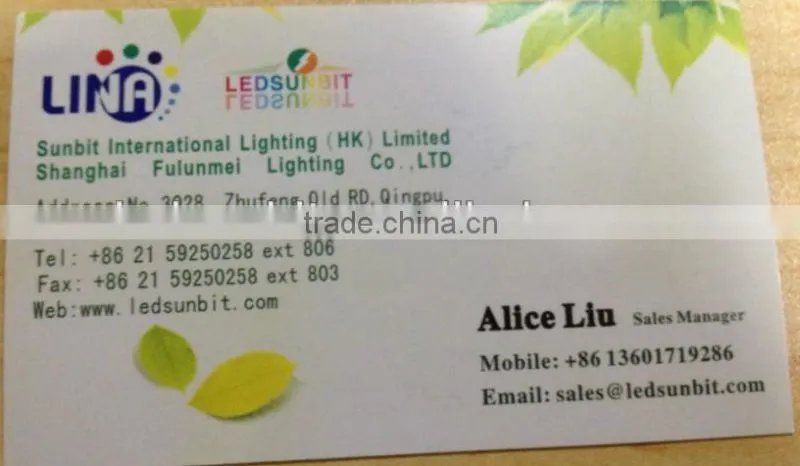 24V Blue led neon flex tube light