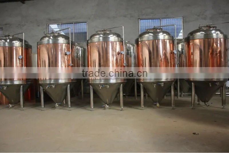Smal bars brewery equipment, Promotional Beer brewery equipment, Double jacketed Beer Fermentation Tank