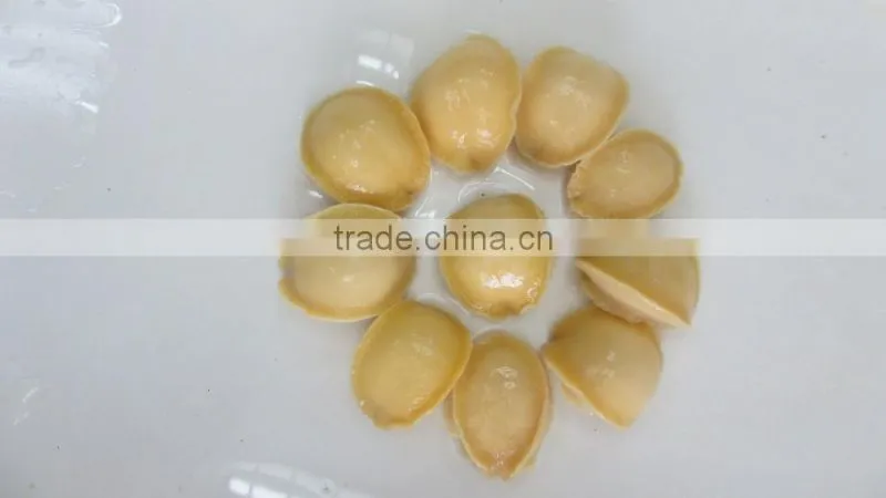 Canned Abalone Canned Seafood