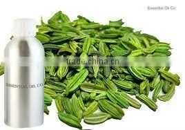 Fennel Seed Oil