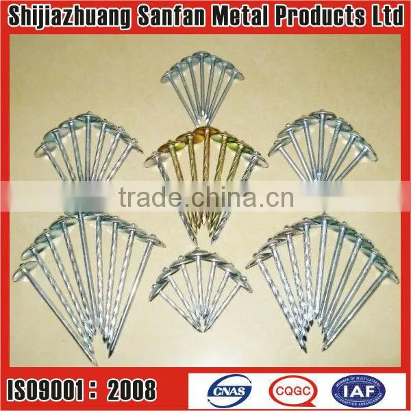 Sell Twisted shank roofing screw