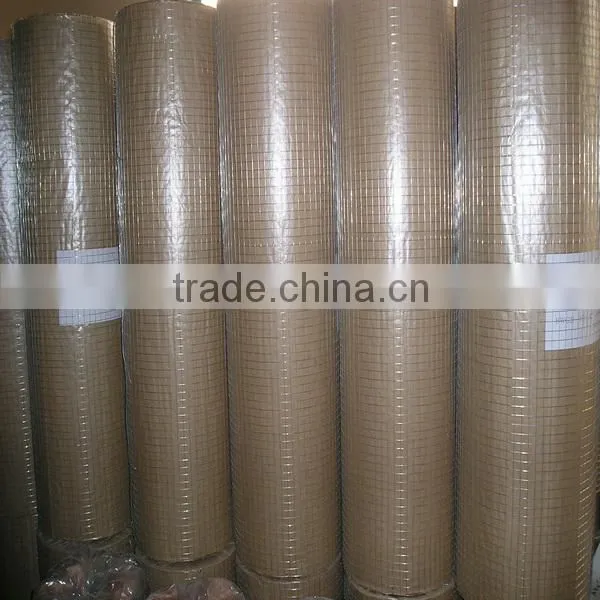welded wire mesh best quality