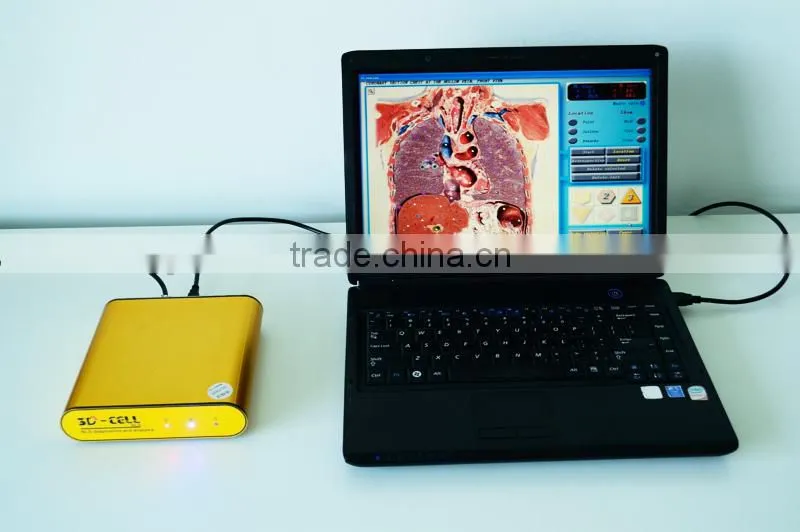 2015 Hot product original 3D NLS quantum body health analyzer