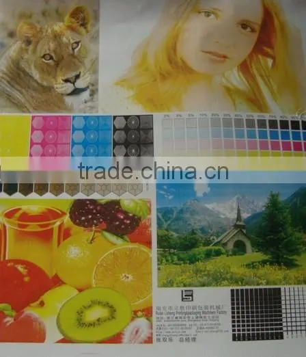 Full Automatic Six Color Flexo Printing Machine
