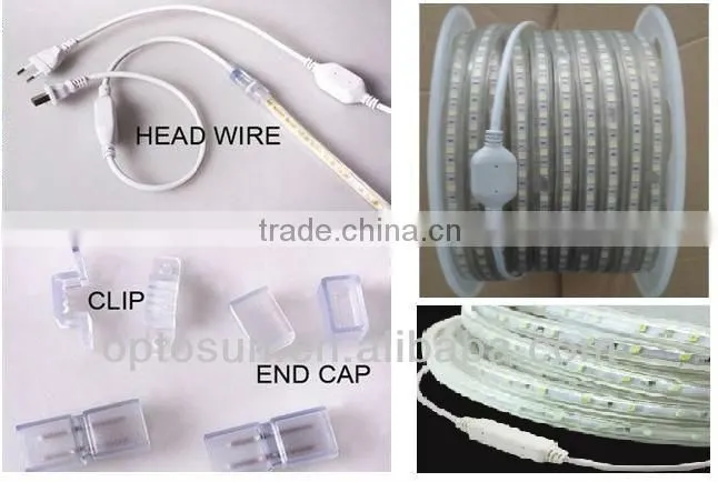 LED With CE RoHS certification house decoration wateproof DC12V 24V AC220V LED rope light