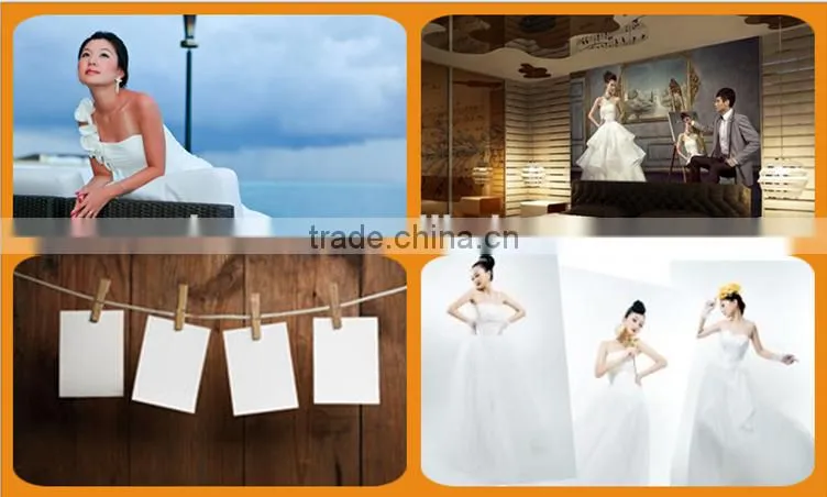 Wholesale 24" 260g Waterproof Matt Photo Paper Roll for Inkjet Printing