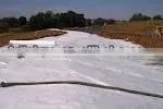 PP nonwoven geotextile