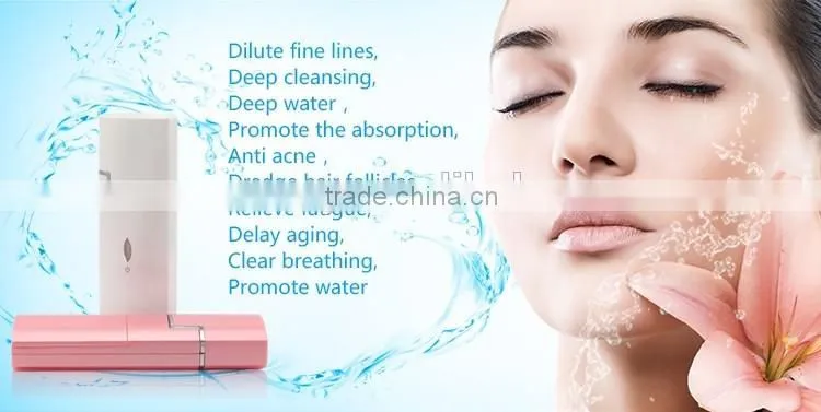 Christmas gift economic home use electronic portable facial Care Mist nano spray