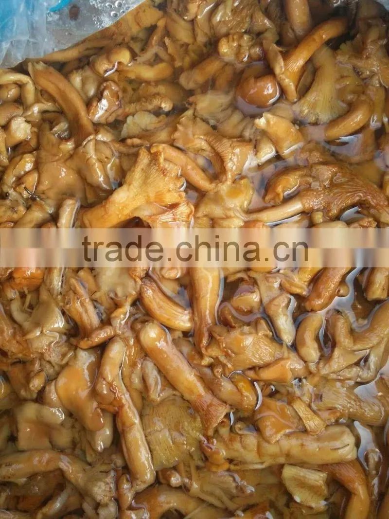 Class B Broken Mushroom Cantharellus Cibarius in Brine
