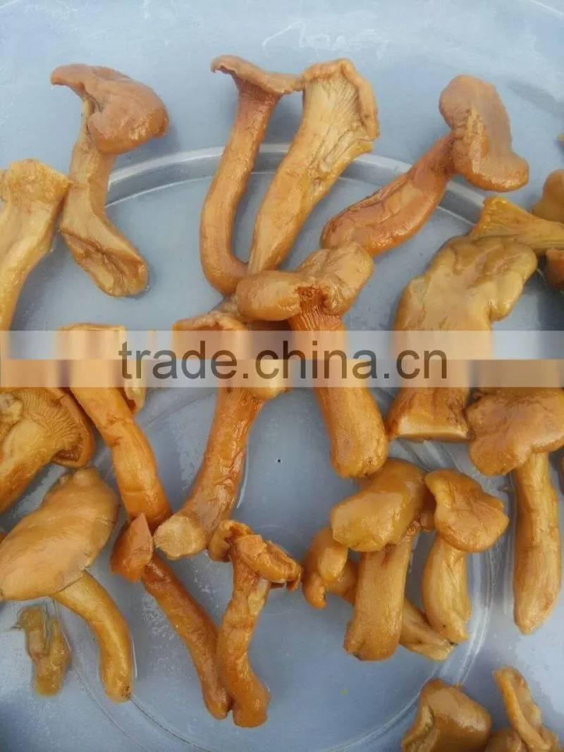 Class B Broken Mushroom Cantharellus Cibarius in Brine