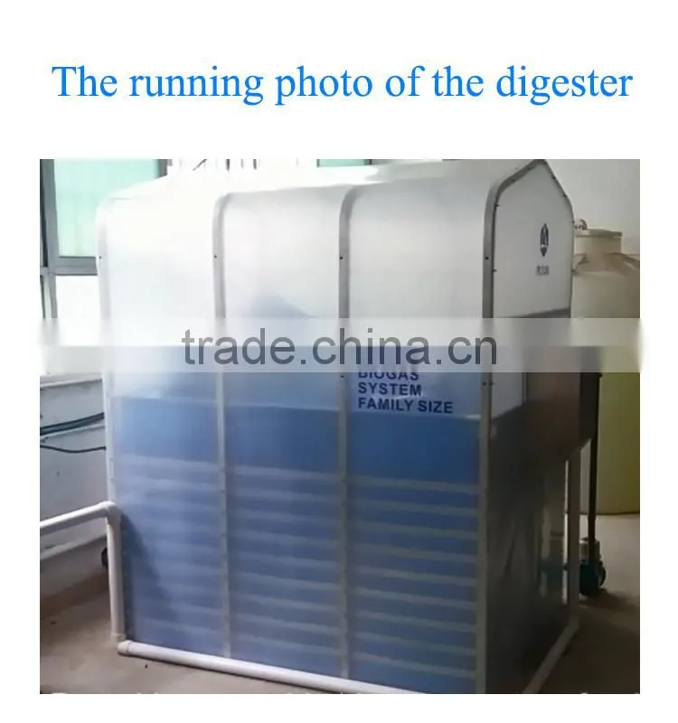 Mini portable assembly biogas system