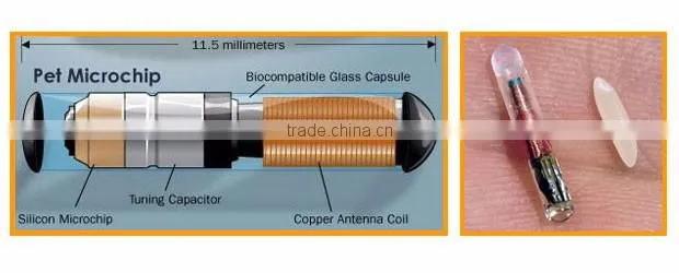 Microchips 125khz rfid Glass Tag for Snake Fish Dog