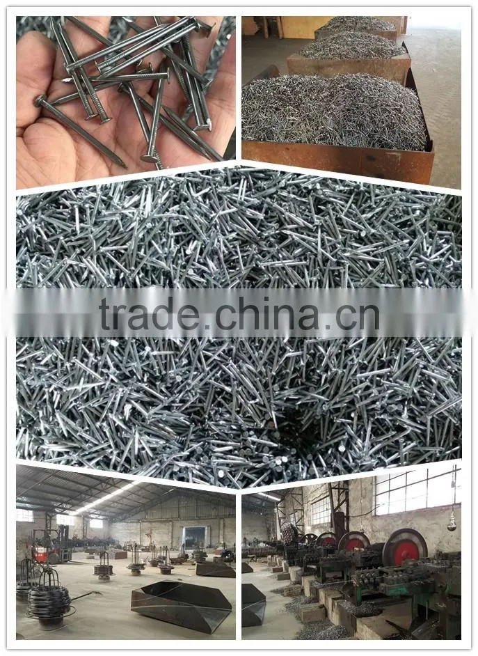 2.5" POLISH NAIL / COMMON NAIL / WIRE NAIL COST PRICE SELLING
