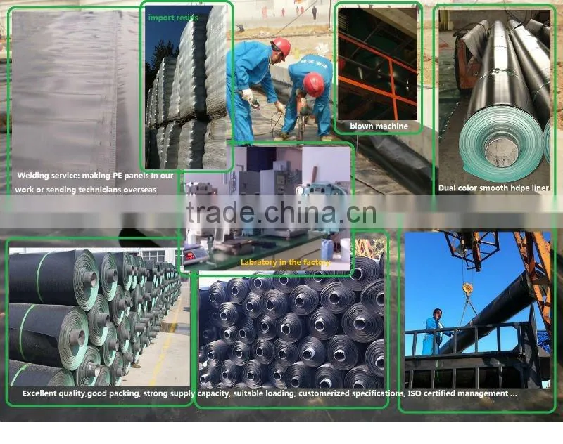 Dual color HDPE,LDPE, LLDPE Pool Liners