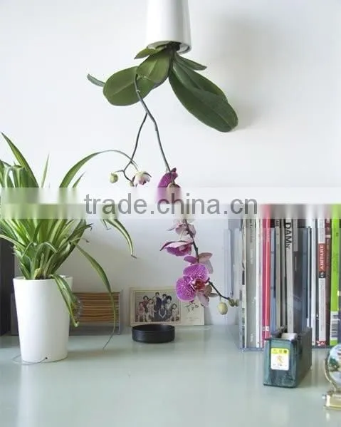 CT-457 Originality Fashion Sky Planter Hanging Plastic for Plants 9.5x9.5x13cm
