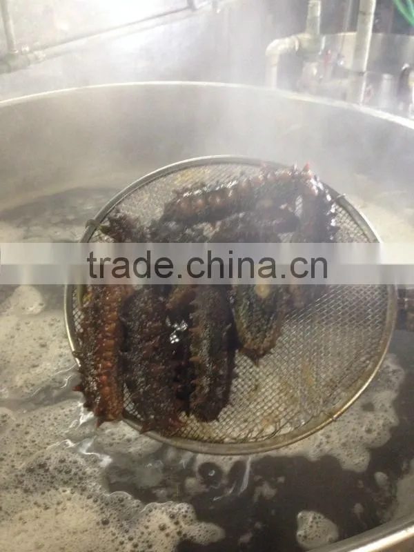 dried Sea cucumber/ dried Salted sea cucumeber