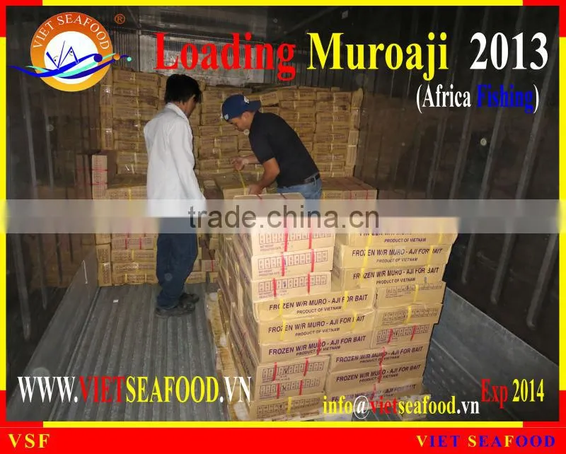 LOADING MUROAJI FOR TUNA BAIT
