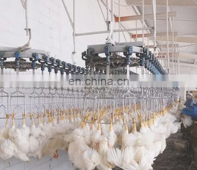 Halal Chicken Slaughter Machine Line/Poultry Slaughter Machine
