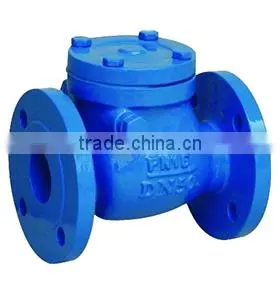 Ductile Iron Cast Iron Flanged Swing Check Valve 6 Inch