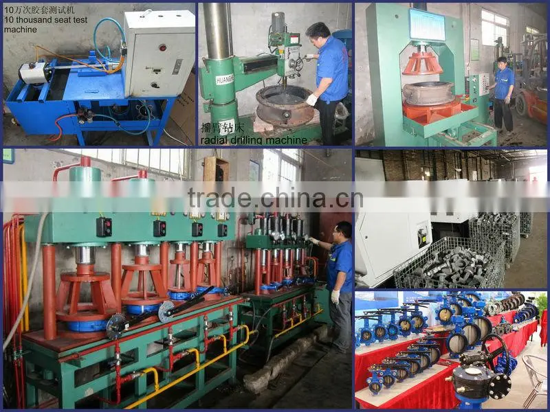 300X Water Control Electric Valve