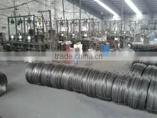 Linyi Lilong Trade Co., Ltd. company overview - view 2
